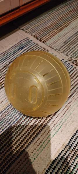 Juoksu pallo jyrsijälle Lohja - photo 1