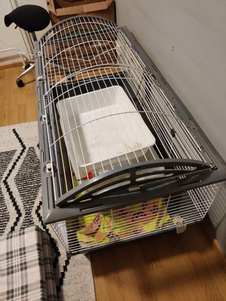 Kanin häkki Oulu - valokuva 2