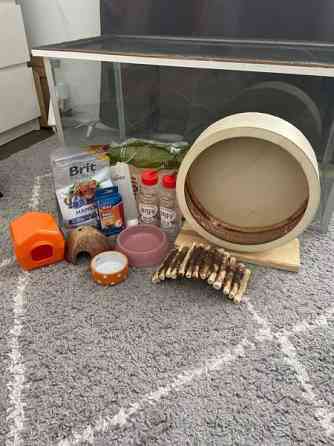 Terraario Mäntyharju