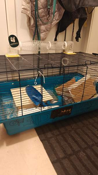 Hamsteri häkki 80 x 50 Sauvo - photo 2