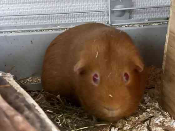 Oranssit marsut ja tarvikkeet Keuruu