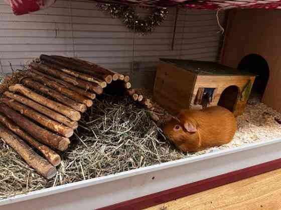 Oranssit marsut ja tarvikkeet Keuruu