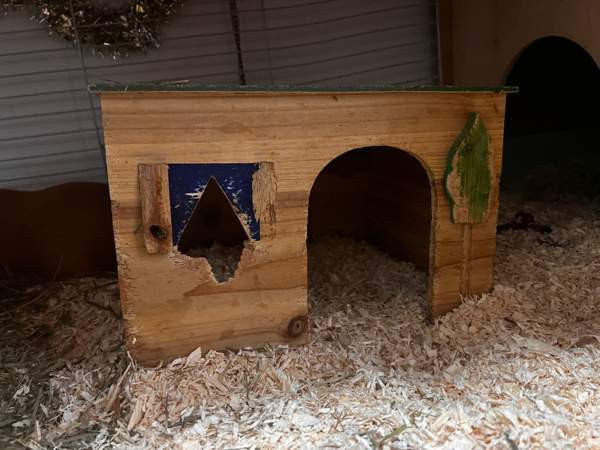 Oranssit marsut ja tarvikkeet Keuruu - изображение 6