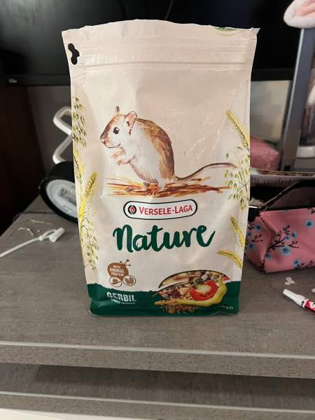 Kaksi gerbiiliä + terraario + tarvikkeita Вантаа - изображение 3