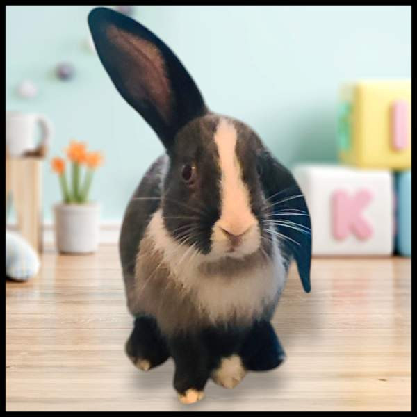 Mix-tyttö Kerava - photo 2