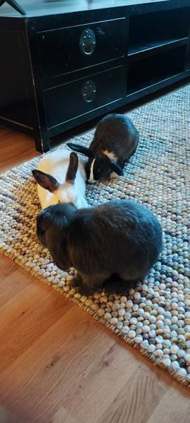 Mix-tyttö Kerava - photo 7