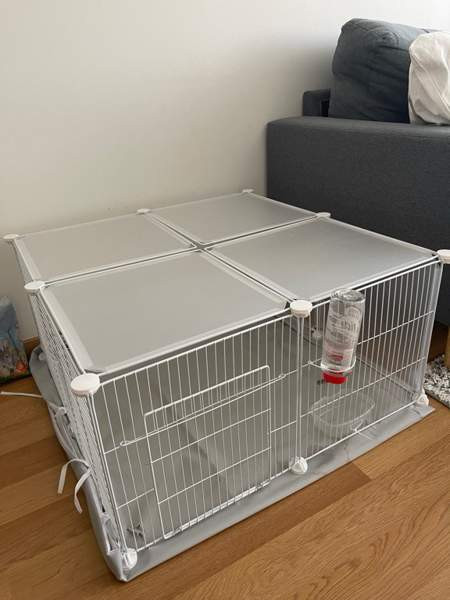 Myydään kani ja tarvikkeet Lahti - photo 6