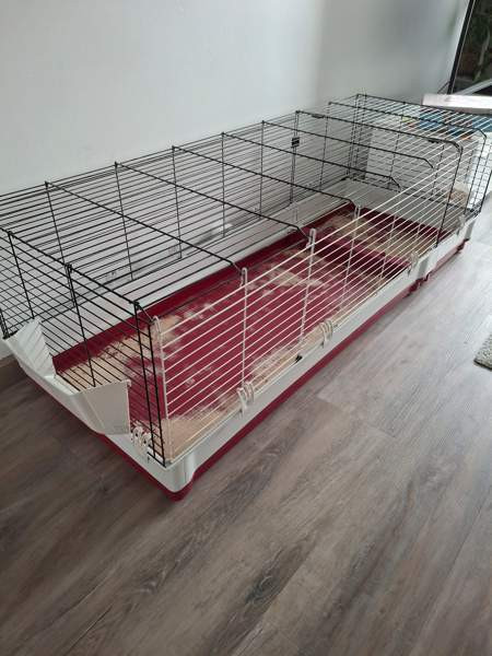 Myydään häkkipaketti marsuille Helsinki - valokuva 2