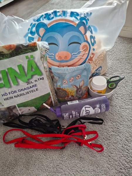 Myydään häkkipaketti marsuille Helsinki - valokuva 4