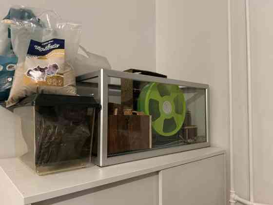 Hamsterin tarvikkeet Helsinki