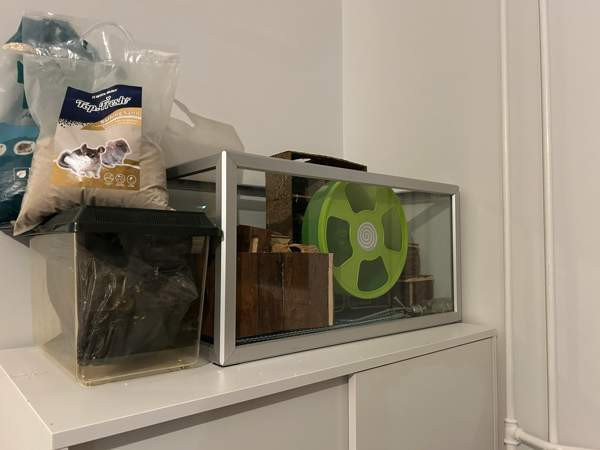 Hamsterin tarvikkeet Helsinki - изображение 1