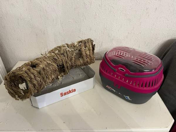 Hamsterille setti Tuusula – foto 3