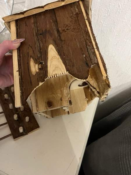 Hamsterille setti Tuusula – foto 4