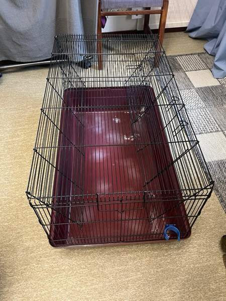 Hamsterille setti Tuusula – foto 1