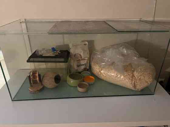 Terraario ja tarvikkeet Helsinki