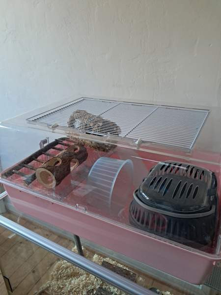 Häkki Nokia - photo 1