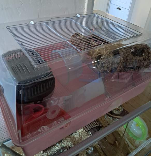 Häkki Nokia - photo 2