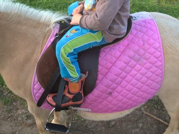 Ponisatula Janakkala – foto 2