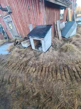 Koirankoppi Tyrnävä