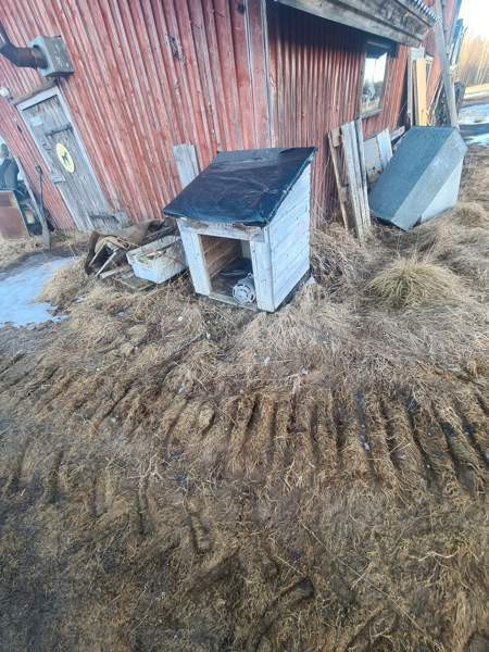 Koirankoppi Tyrnävä - valokuva 1