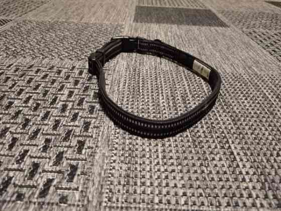 kaulapanta isolle koiralle Valkeakoski