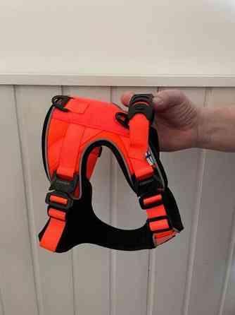 Koiran valjaat Jyvaeskylae