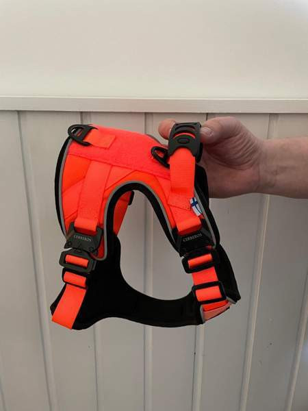 Koiran valjaat Jyvaeskylae – foto 4