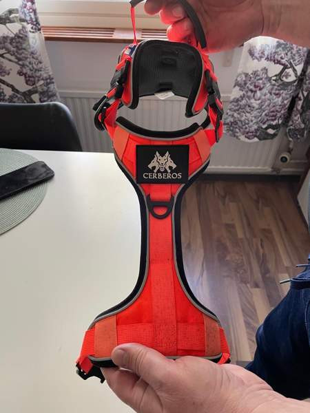 Koiran valjaat Jyvaeskylae – foto 2