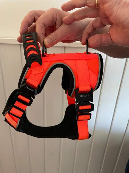 Koiran valjaat Jyvaeskylae – foto 3