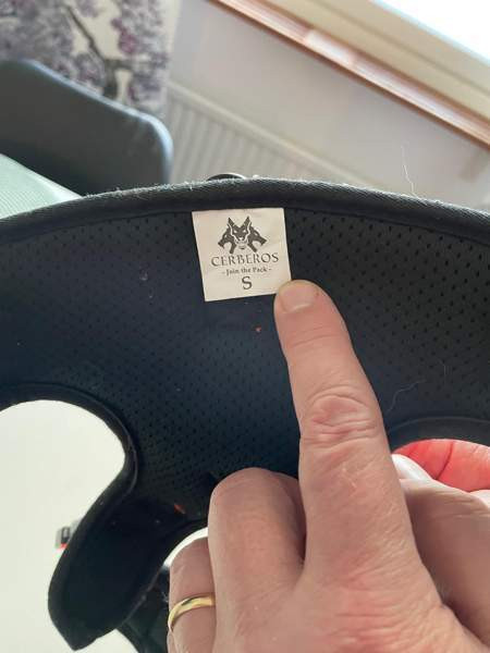 Koiran valjaat Jyvaeskylae – foto 1