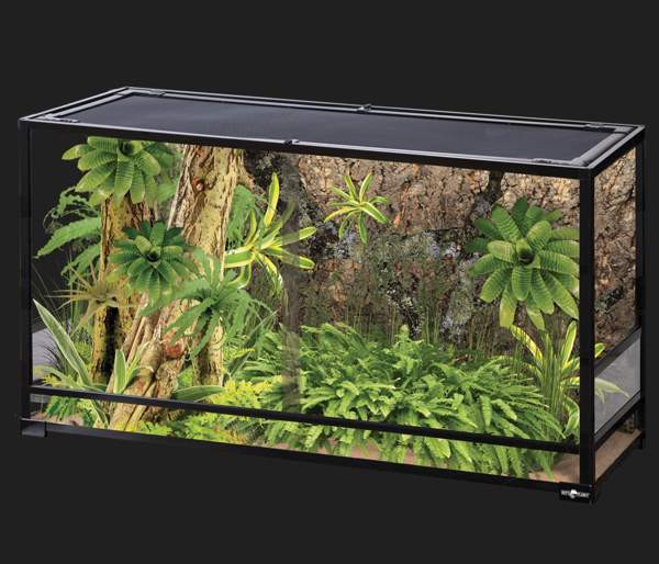 Ostetaan terraario Joensuu – foto 2