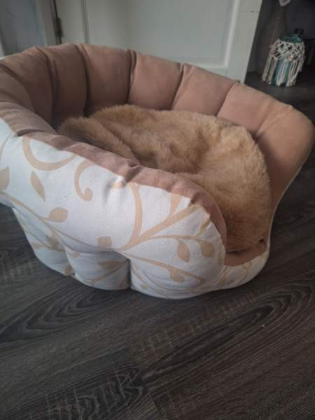 Uniikki käsityönä tehty upea koiranpeti Hämeenlinna - valokuva 1