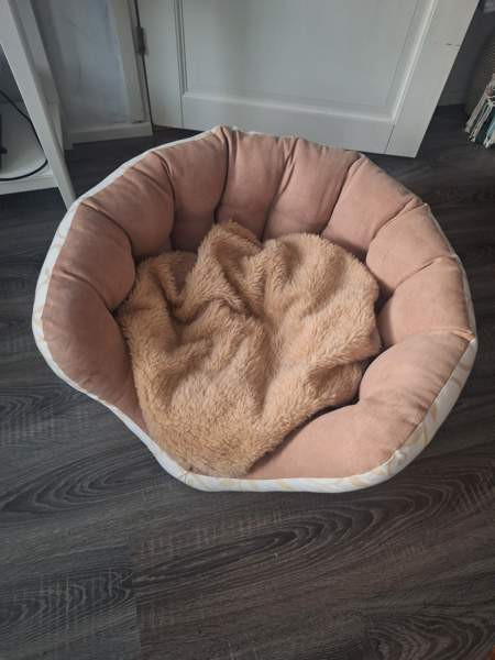 Uniikki käsityönä tehty upea koiranpeti Hämeenlinna - valokuva 2