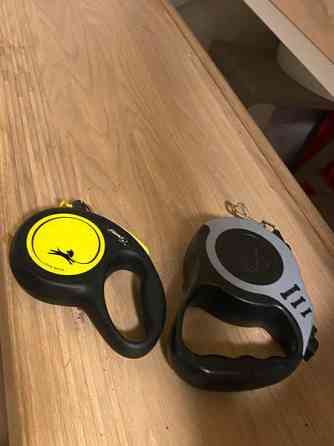 Pienen koira kantokassi Вантаа