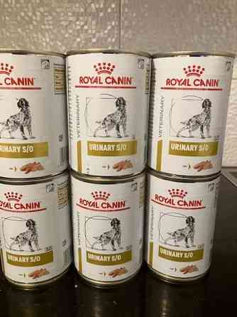 Royal Canin Urinary S/O märkäruoka koiralle 6 prk Espoo