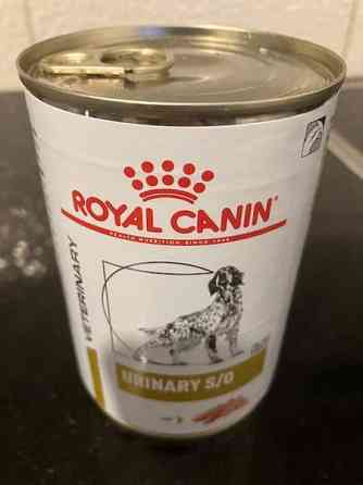Royal Canin Urinary S/O märkäruoka koiralle 6 prk Espoo