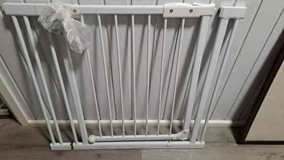 Koiraportti jatkopalalla Пори