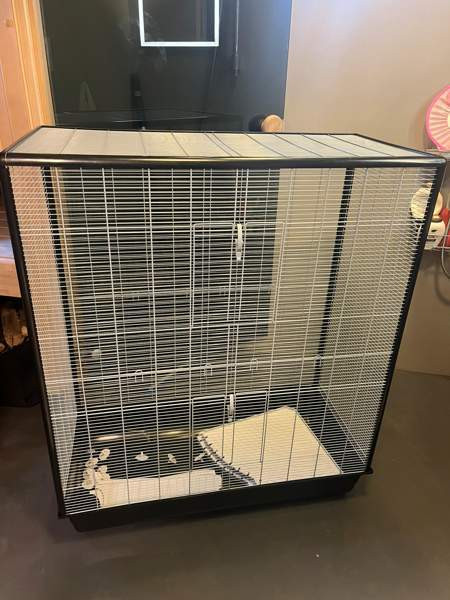 Häkki jyrsijöille Nurmijärvi - valokuva 4