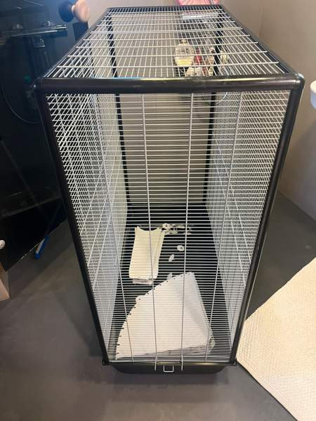 Häkki jyrsijöille Nurmijärvi - valokuva 3