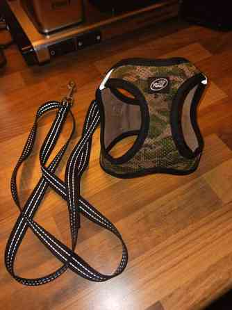 Kissan valjaat ja talutin Lappeenranta