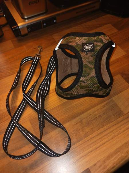 Kissan valjaat ja talutin Lappeenranta – foto 1