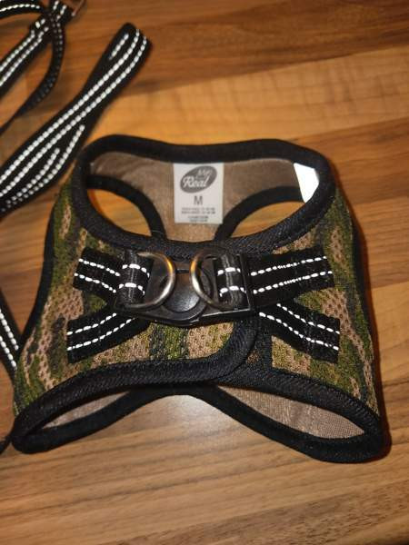 Kissan valjaat ja talutin Lappeenranta – foto 2