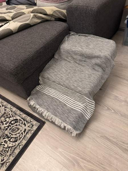 Koiran portaat Vantaa - valokuva 3