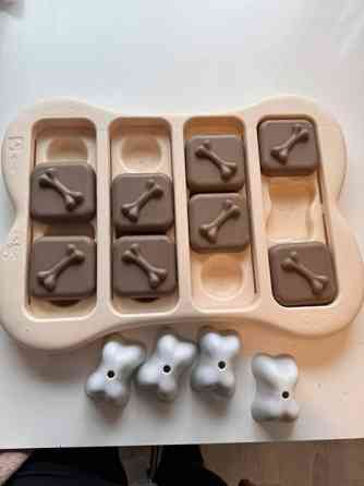 Koiran aktivointipeli Вантаа