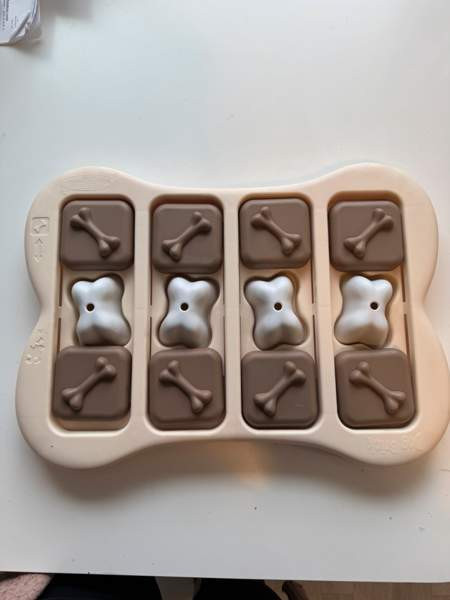 Koiran aktivointipeli Вантаа - изображение 1