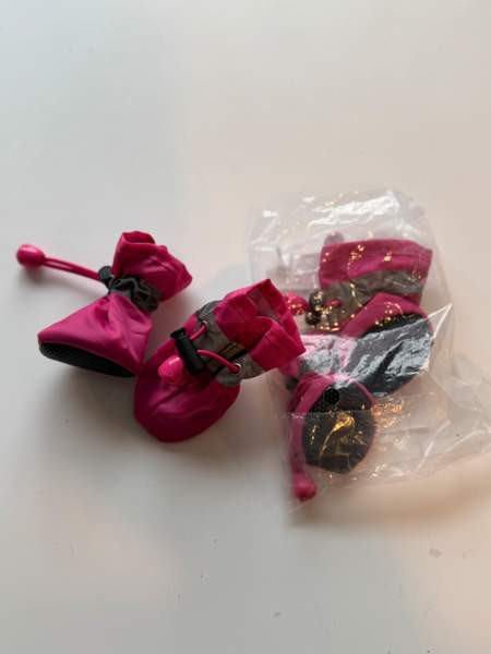 Koiran tossut Vantaa – foto 1