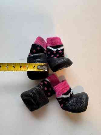 Pienen koiran tossuja Vantaa