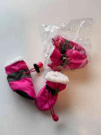 Pienen koiran tossuja Vantaa