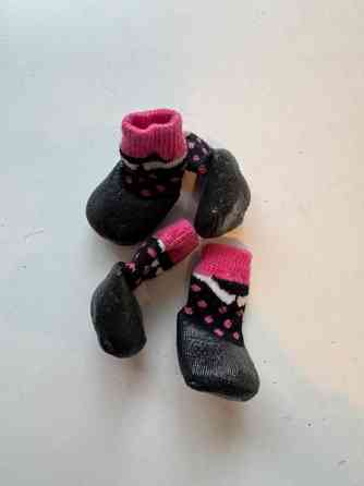 Pienen koiran tossuja Vantaa