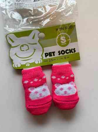 Pienen koiran tossuja Vantaa